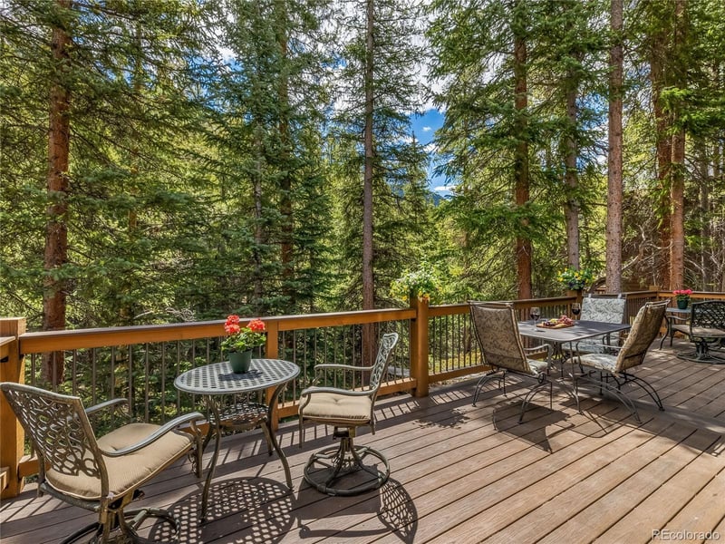 68 Sherwood Ln, Blue River, CO 80424