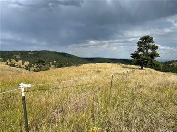 Thea Gulch Rd, Golden, CO 80403