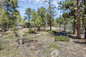 12276 Styve Rd, Conifer, CO 80433