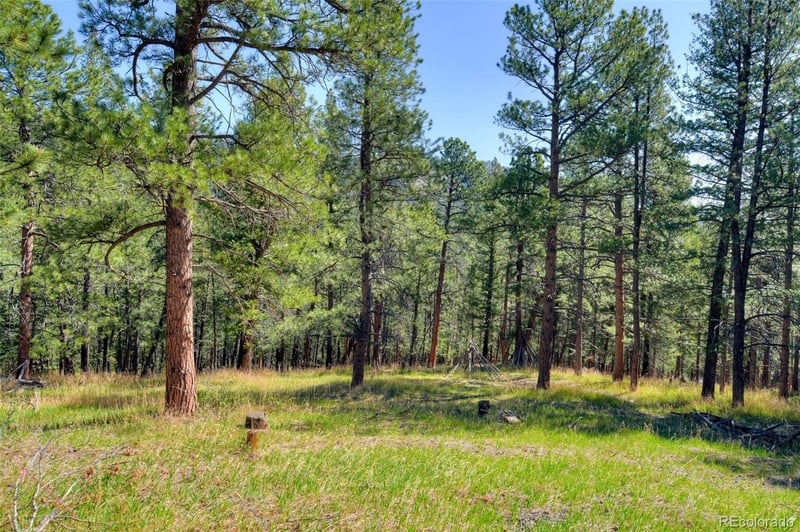 281 Kings , Evergreen, CO 80439