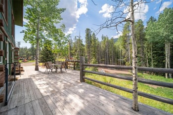 8774 Spring Dr, Conifer, CO 80433