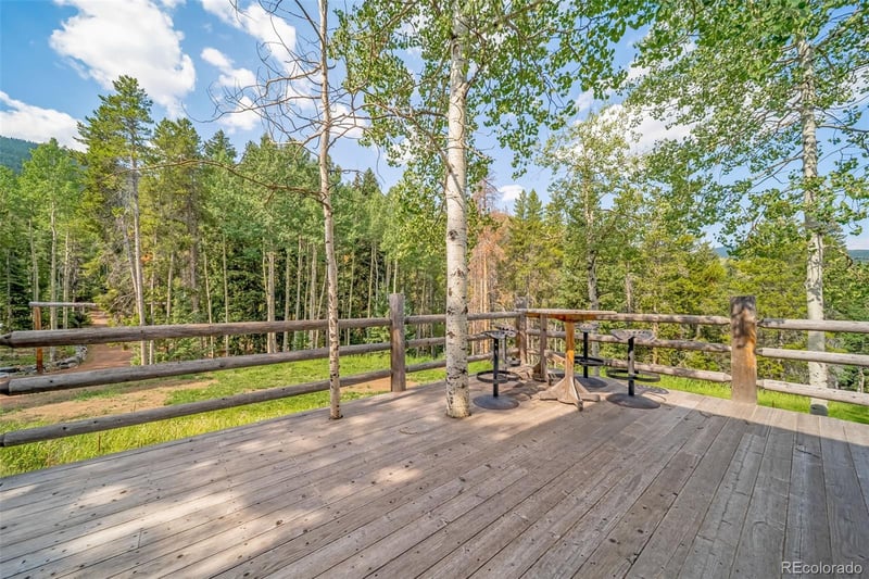 8774 Spring Dr, Conifer, CO 80433