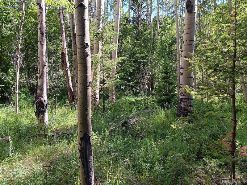 Lot 5244 Crossman Rd, Fort Garland, CO 81133