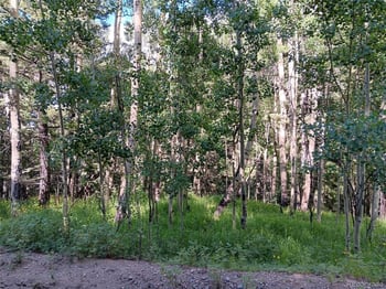 Lot 5244 Crossman Rd, Fort Garland, CO 81133