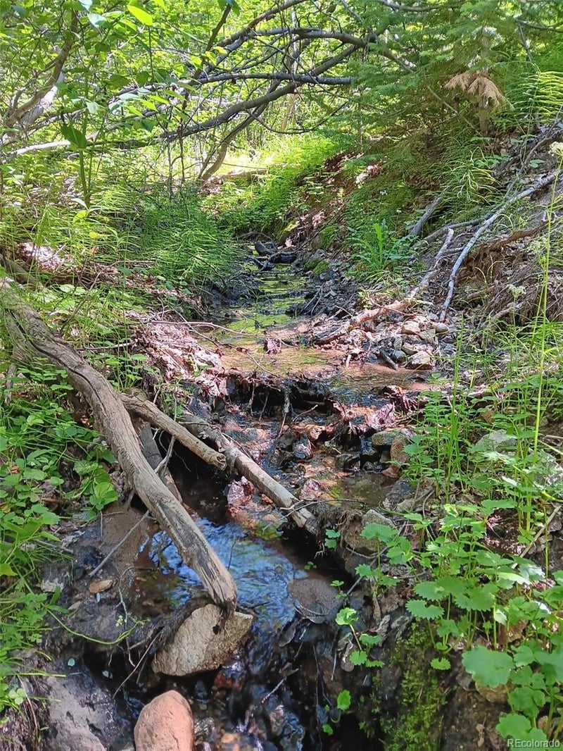 Lot 5244 Crossman Rd, Fort Garland, CO 81133