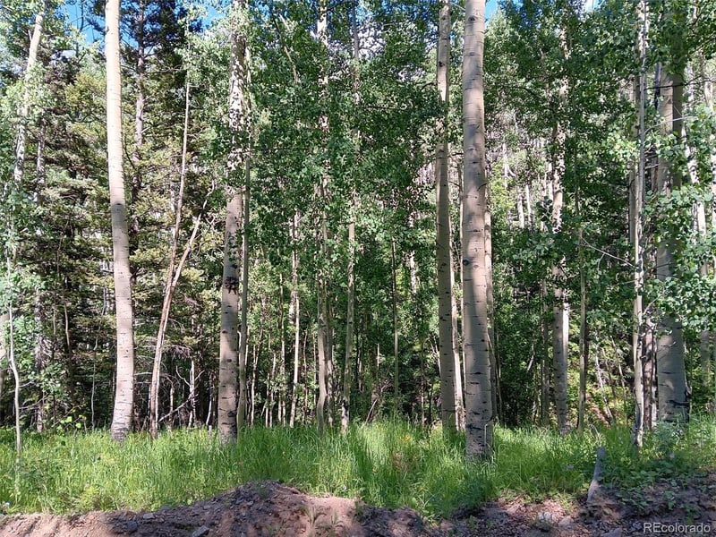 Lot 5244 Crossman Rd, Fort Garland, CO 81133