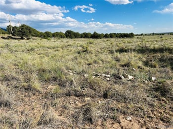 Lots 2 3 Blk 59, Crestone, CO 81131
