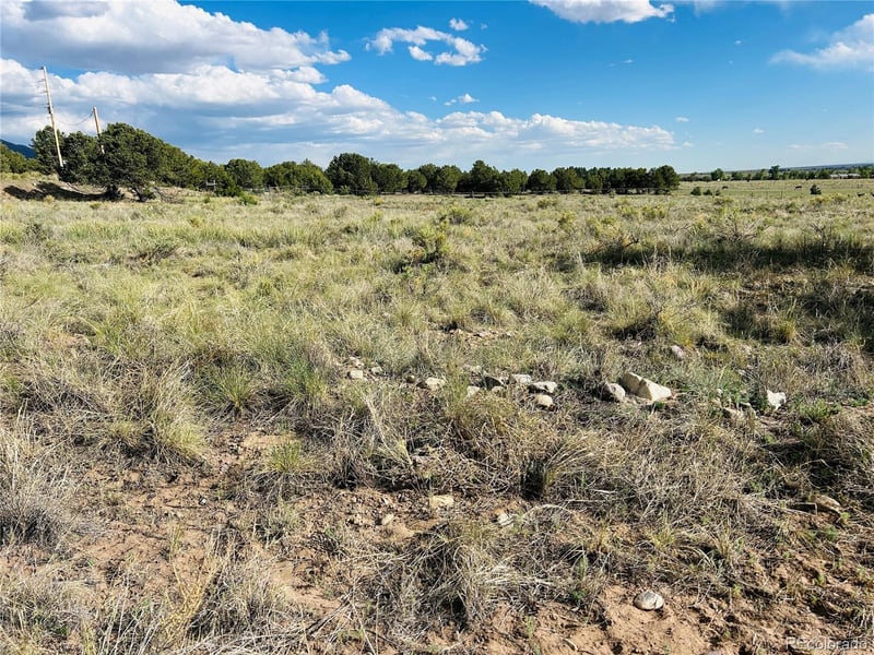 Lots 2 3 Blk 59, Crestone, CO 81131