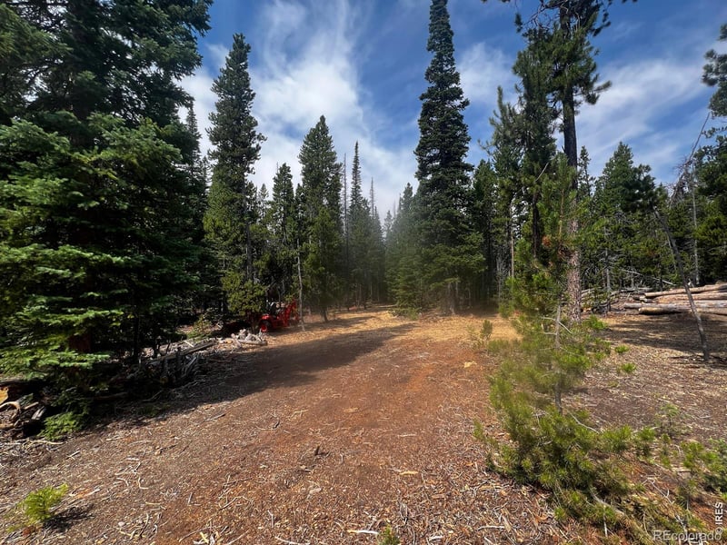 , Red Feather Lakes, CO 80545