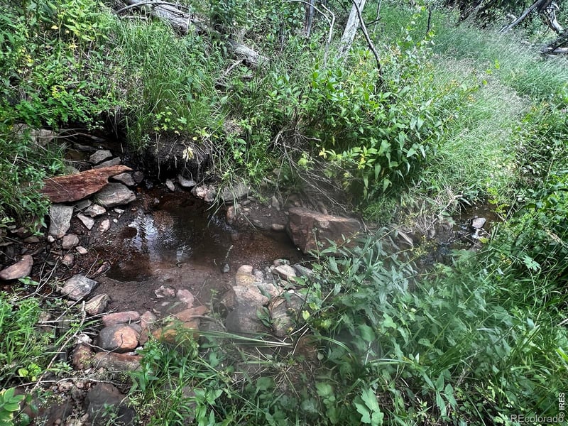 , Red Feather Lakes, CO 80545