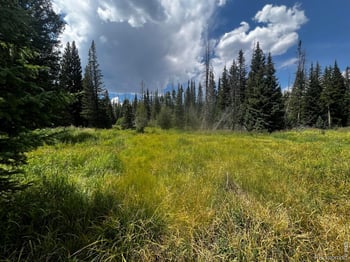 , Red Feather Lakes, CO 80545