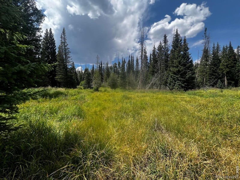 , Red Feather Lakes, CO 80545