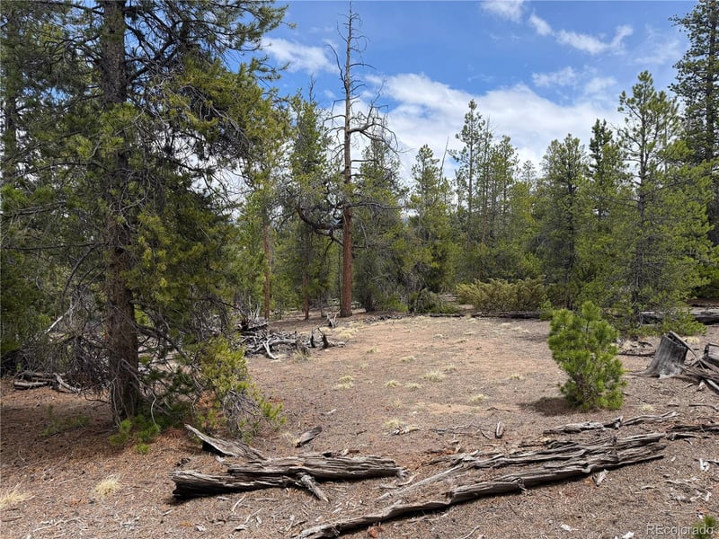 341 Lodgepole Dr, Leadville, CO 80461