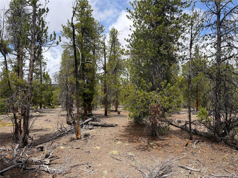 341 Lodgepole Dr, Leadville, CO 80461
