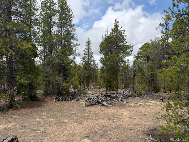 341 Lodgepole Dr, Leadville, CO 80461