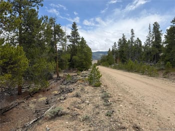341 Lodgepole Dr, Leadville, CO 80461