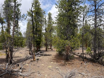 341 Lodgepole Dr, Leadville, CO 80461