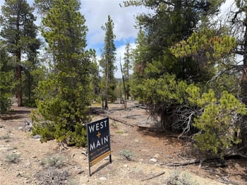 341 Lodgepole Dr, Leadville, CO 80461