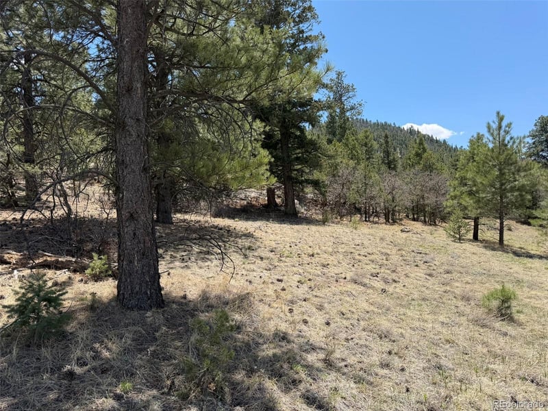 477 Bear Peak Rd, Westcliffe, CO 81252