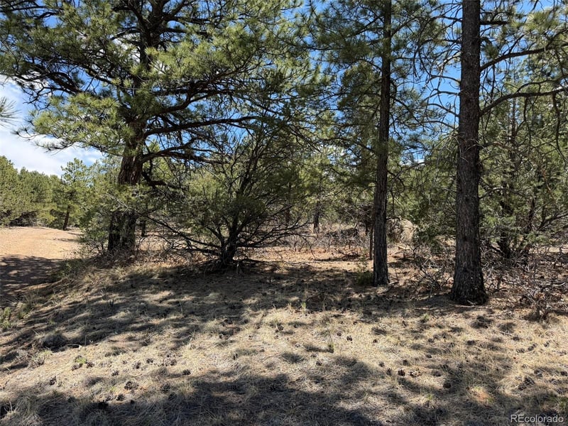 477 Bear Peak Rd, Westcliffe, CO 81252