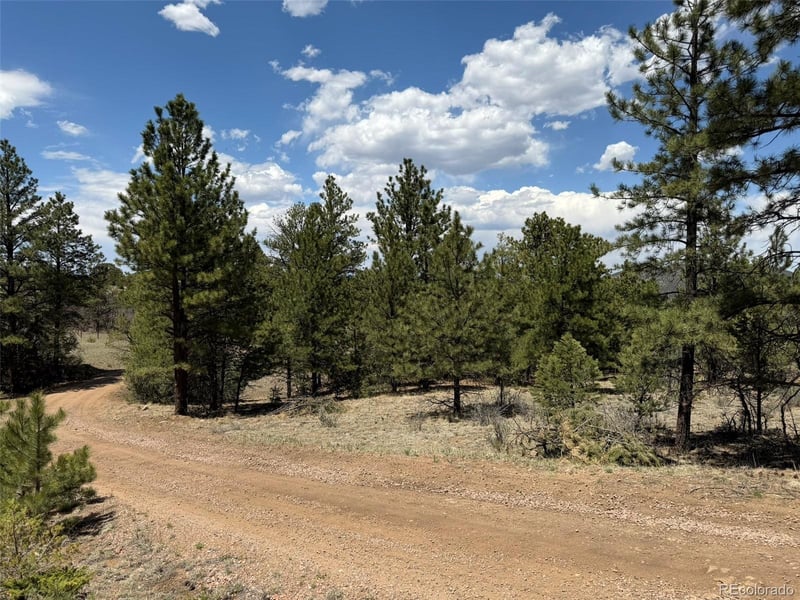 477 Bear Peak Rd, Westcliffe, CO 81252