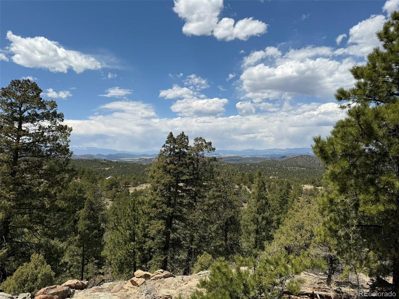 477 Bear Peak Rd, Westcliffe, CO 81252