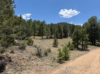 477 Bear Peak Rd, Westcliffe, CO 81252