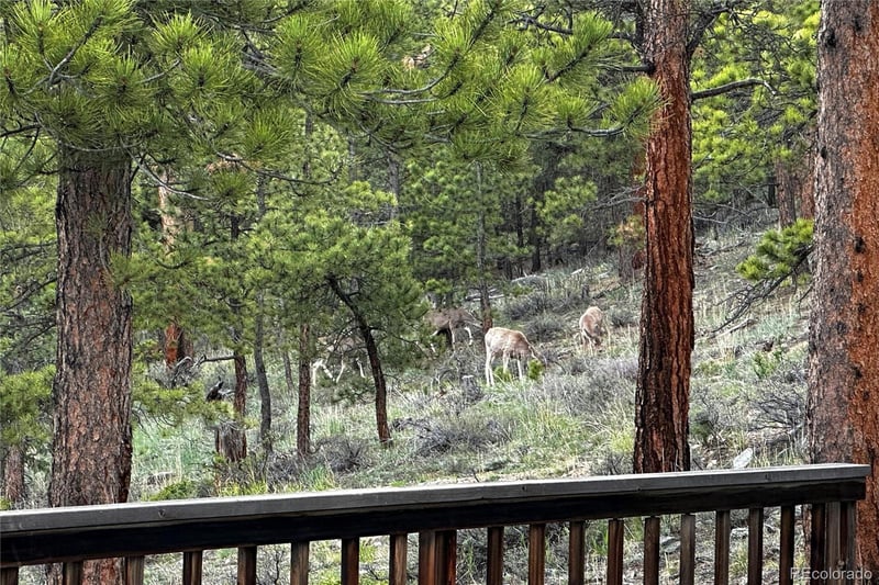 18673 State Highway 7, Lyons, CO 80540