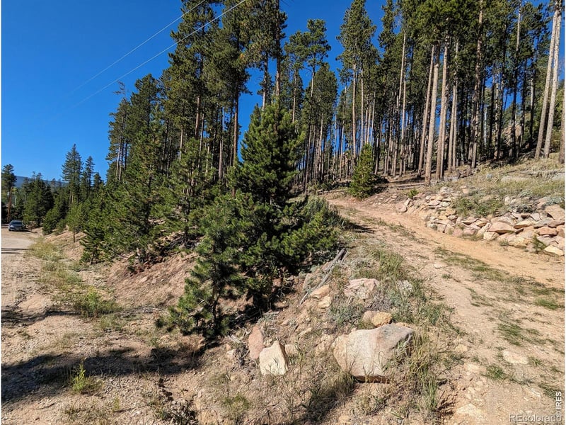 2784 Osage Trl, Red Feather Lakes, CO 80545