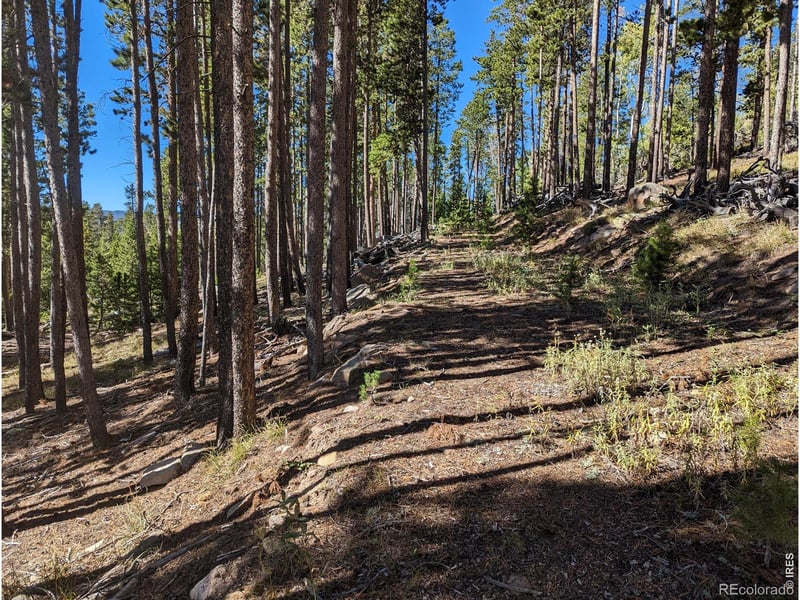 2784 Osage Trl, Red Feather Lakes, CO 80545