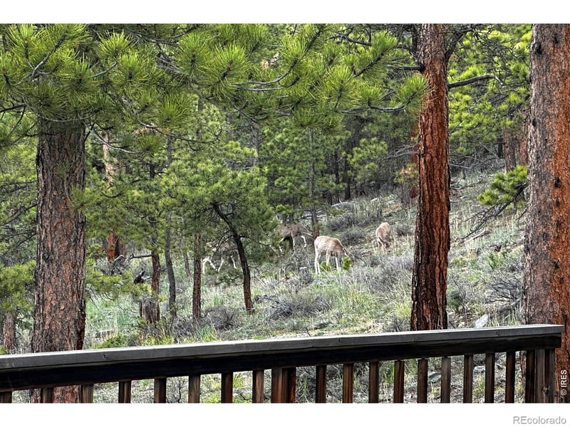 18673 State Highway 7, Lyons, CO 80540