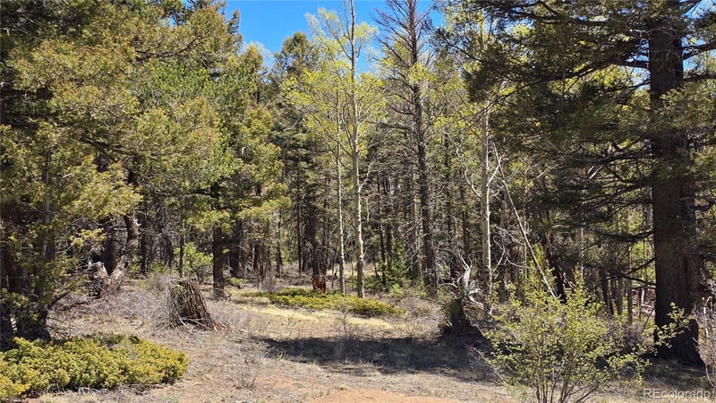 Lots 5817 - 5818 Balleroy & Covington Rd, Fort Garland, CO 81133