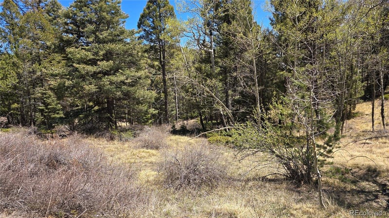 Lots 5817 - 5818 Balleroy & Covington Rd, Fort Garland, CO 81133