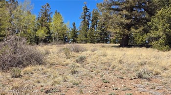 Lots 5817 - 5818 Balleroy & Covington Rd, Fort Garland, CO 81133