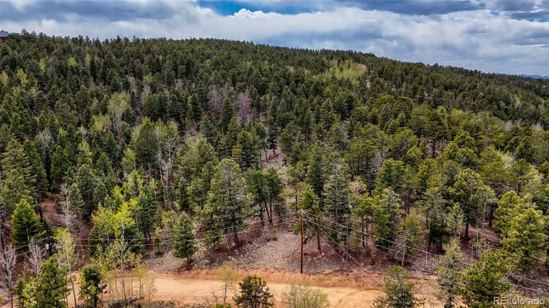 259 Potlatch Trl, Woodland Park, CO 80863