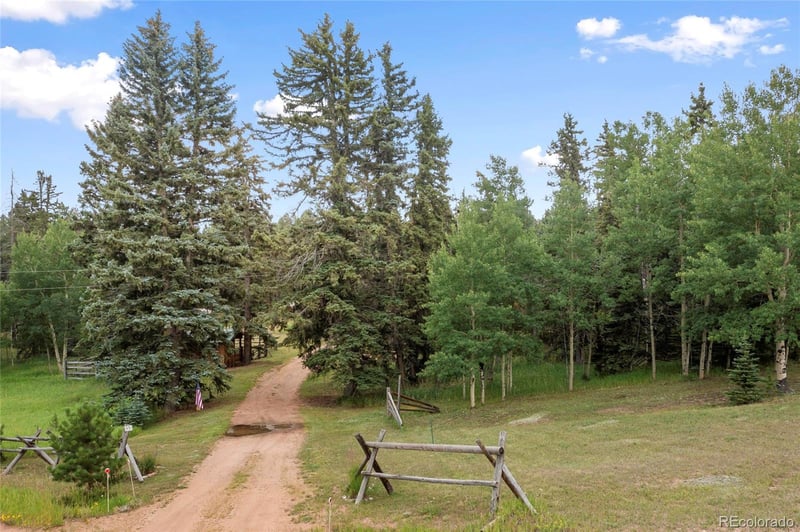 135 Daniwood Grv, Florissant, CO 80816