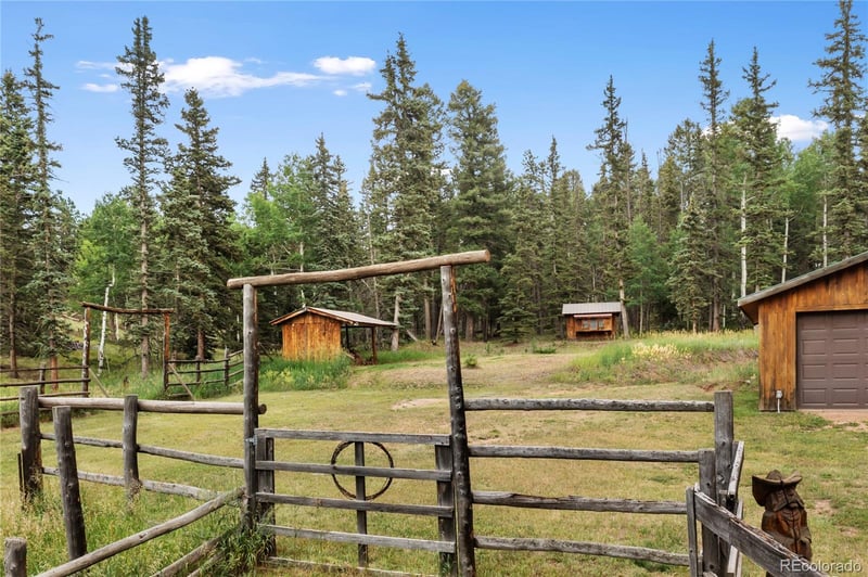 135 Daniwood Grv, Florissant, CO 80816