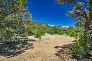 Rikki Rowdy Pl, Aguilar, CO 81020