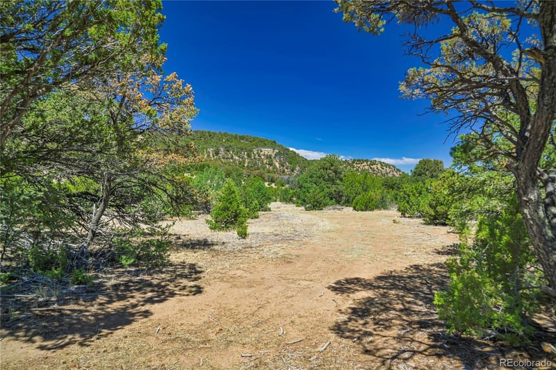 Rikki Rowdy Pl, Aguilar, CO 81020