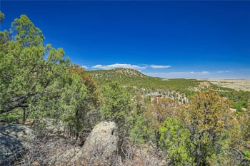 Rikki Rowdy Pl, Aguilar, CO 81020