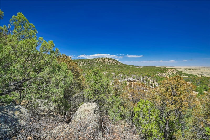 Rikki Rowdy Pl, Aguilar, CO 81020