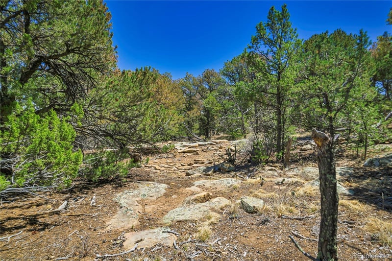 Rikki Rowdy Pl, Aguilar, CO 81020