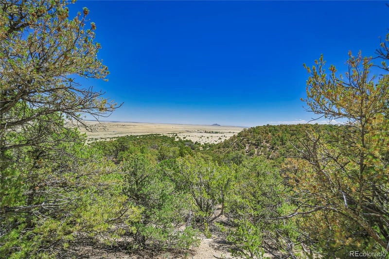 Rikki Rowdy Pl, Aguilar, CO 81020