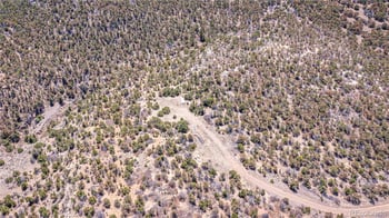 Rikki Rowdy Pl, Aguilar, CO 81020