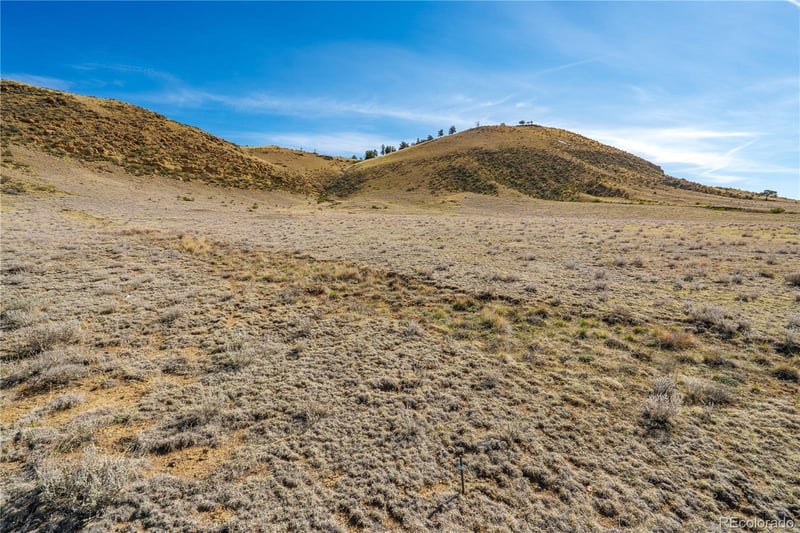 00 Willow St, Hartsel, CO 80449