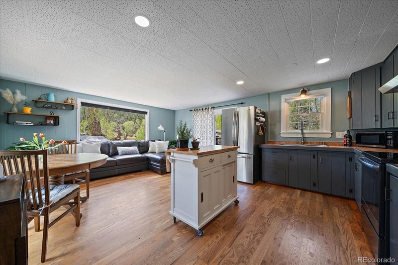 99 Mill Creek Rd, Dumont, CO 80436