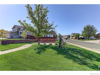 347 Linden Oaks Dr, Ault, CO 80610