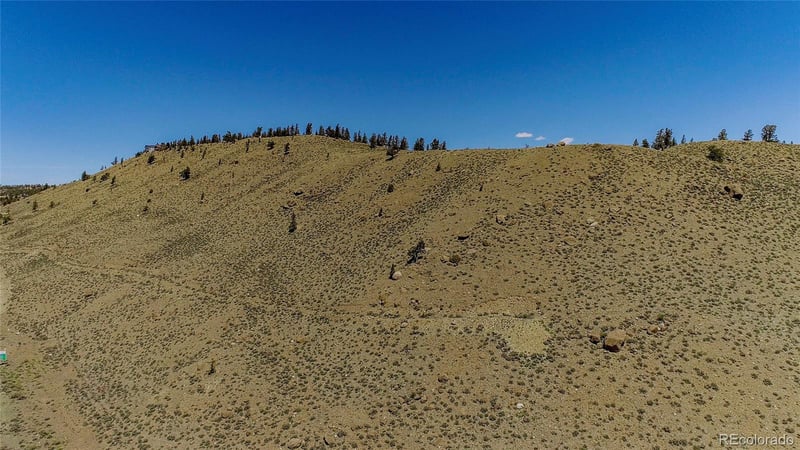 2261 Meteor Placer, Twin Lakes, CO 81251