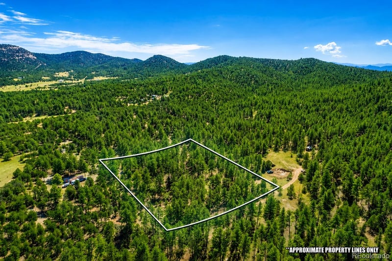 TBD L 10th Trl, Cotopaxi, CO 81223