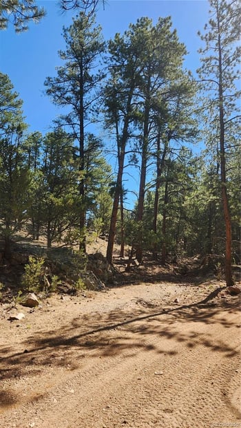 TBD L 10th Trl, Cotopaxi, CO 81223